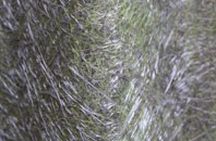 Street Ashton fibreglass roof work